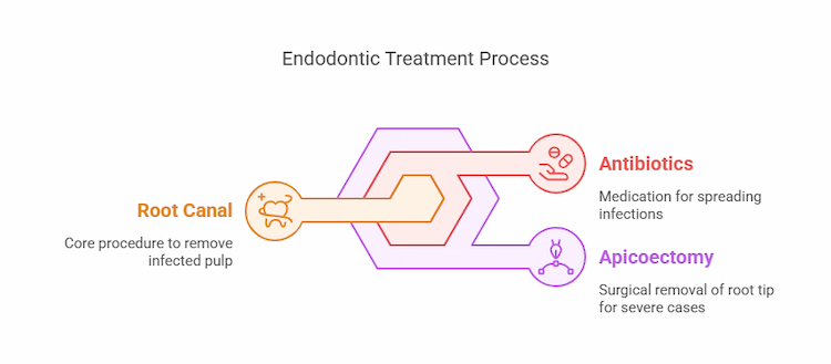How Does an Endodontist Treat Your Tooth Infection